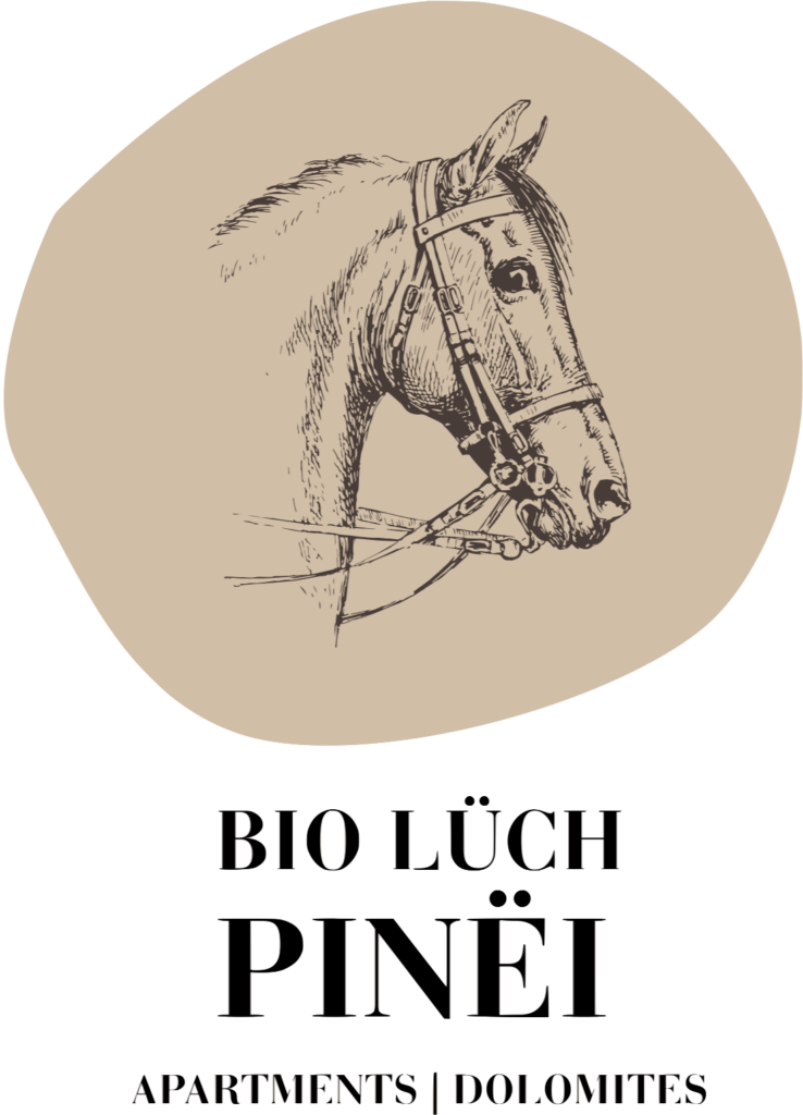 Logo 738x1024